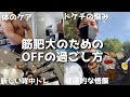 【ルーティン】筋トレOFF日はこんな感じで過ごしてます。筋トレ&減量vlog #97