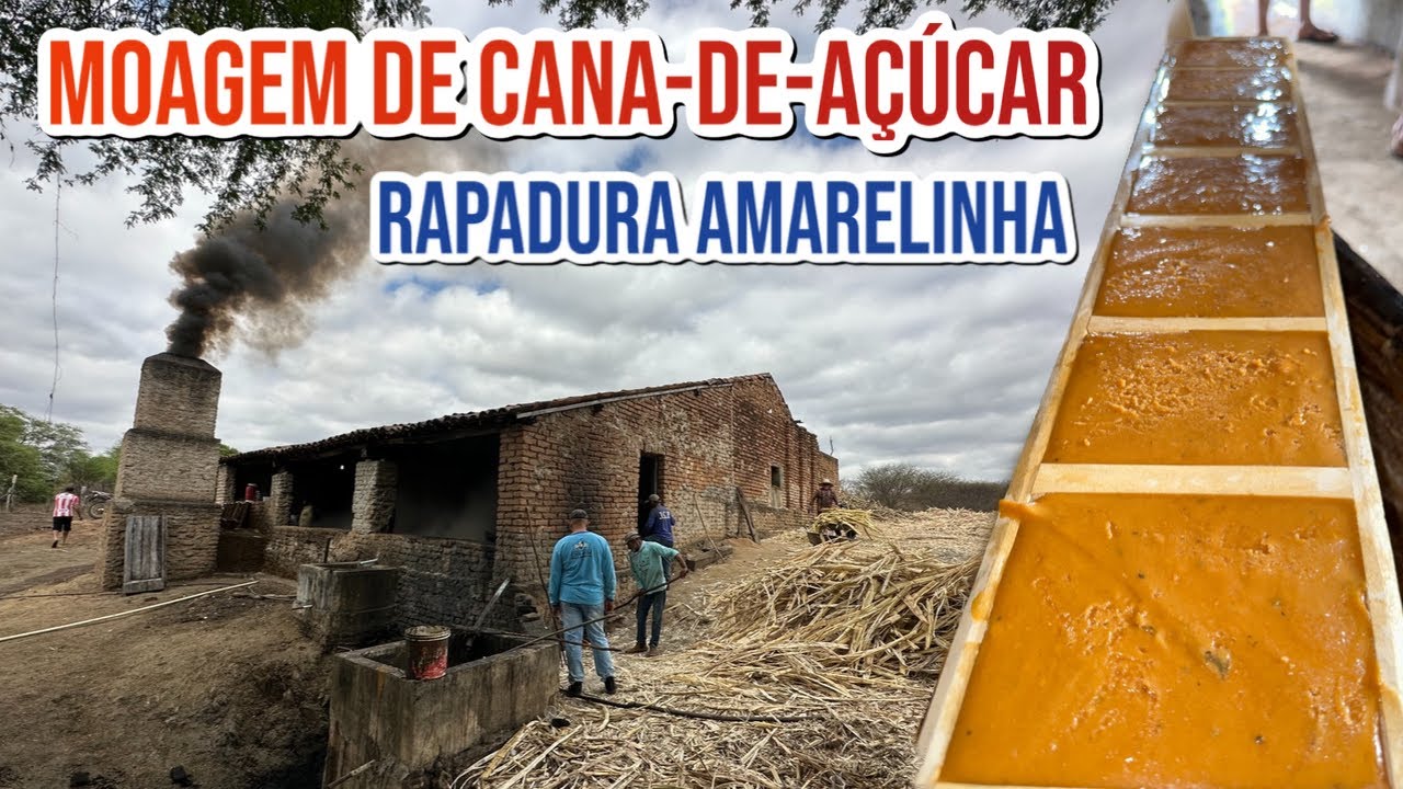 OS BASTIDORES DA FÁBRICA DE RAPADURA, MOAGEM NO ENGENHO DE CANA DE AÇÚCAR.