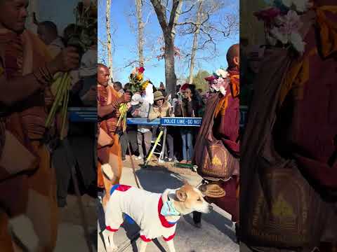 Monks Peace Walking #WalkforPeace #Buddhist #buddhism #Monk