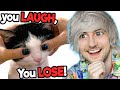 If You Laugh You LOSE