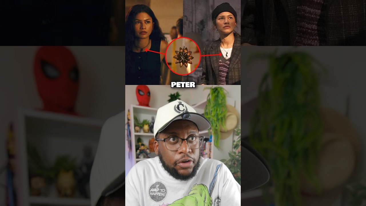 Do MJ and Ned Remember Peter Parker?