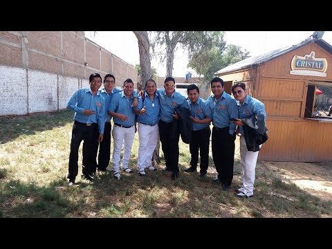 INTERNACIONAL MATICES - NOS QUEREMOS Y QUE (AUDIO STUDIO) D.R.