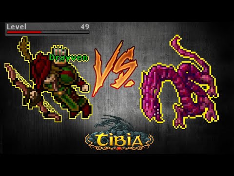 WYRMY LIBERTY BAY LVL 50+ | TOP SKILL PALADIN EP#3 [PL] TIBIA