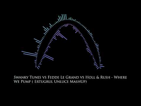 Swanky Tunes vs Fedde Le Grand vs Holl & Rush - Where We Pump ( Ertugrul Unluce MashUp)