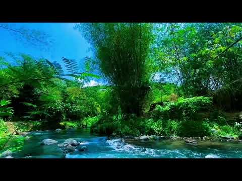 10 Hours - Morning Bird Songs and River Sounds for the Best Start of the Day - Morning River