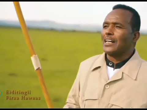 Maali yaa sobee too~Ayyalaa Nugusee new oromo music (2022)