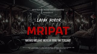 Download lagu MRIPAT - MY EYES SEE THE INVISIBLE | EP156 | Horror Stall mp3