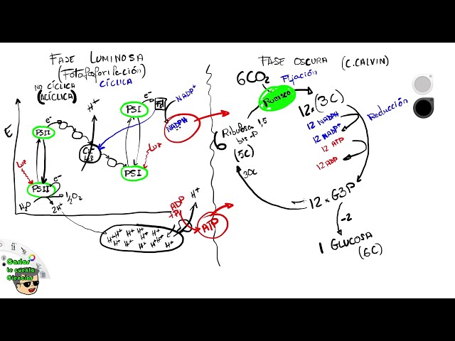 Vídeo relacionado con Matemáticas 2º Bachillerato Ciencias y Tecnología: Ciencias de la Naturaleza y de la Salud - Tecnología (Bachillerato Everest) - 9788424175672