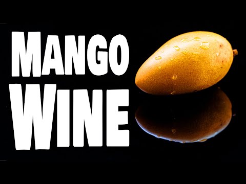 How We Made Mango Wine at Home