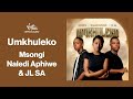 Msongi Naledi Aphiwe JL SA Umkhuleko Official Audio