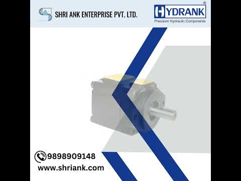 VANE PUMP - SARVA HYDRAULIK