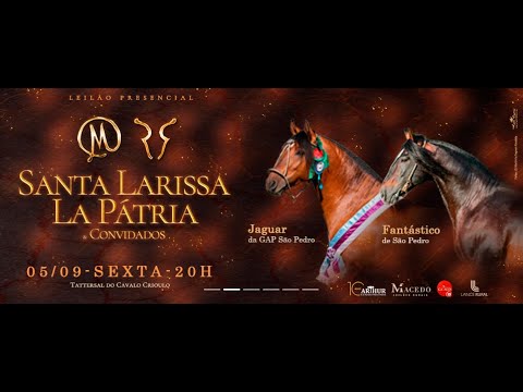 LEILÃO SANTA LARISSA, LA PÁTRIA & CONVIDADOS