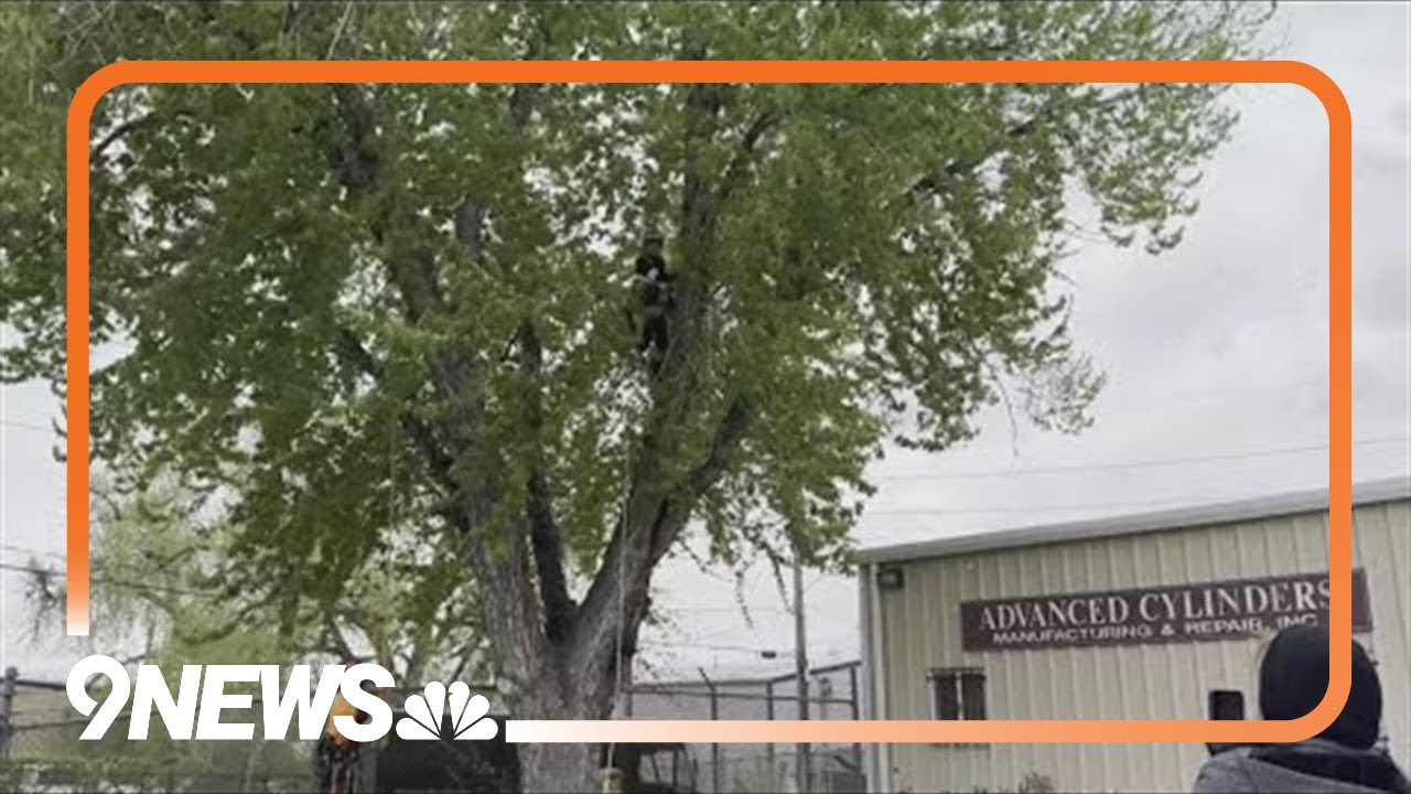 $3 million in new grants gives boost to apprenticeship programs