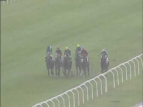 2017.09.10 Premio Eupili (ITA) - Fundeghe