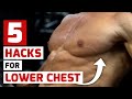 THESE FIVE HACKS WILL BUILD YOUR LOWER CHEST
