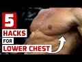 THESE FIVE HACKS WILL BUILD YOUR LOWER CHEST