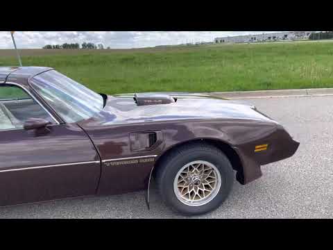 1981 Pontiac Firebird Trans Am WS6 (CC-1479020) for sale in Rochester, Minnesota