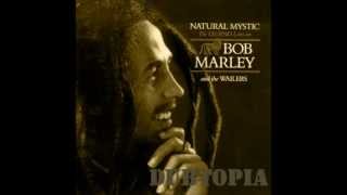 Bob Marley - Natural Mystic [DUBTOPIA Remix].wmv