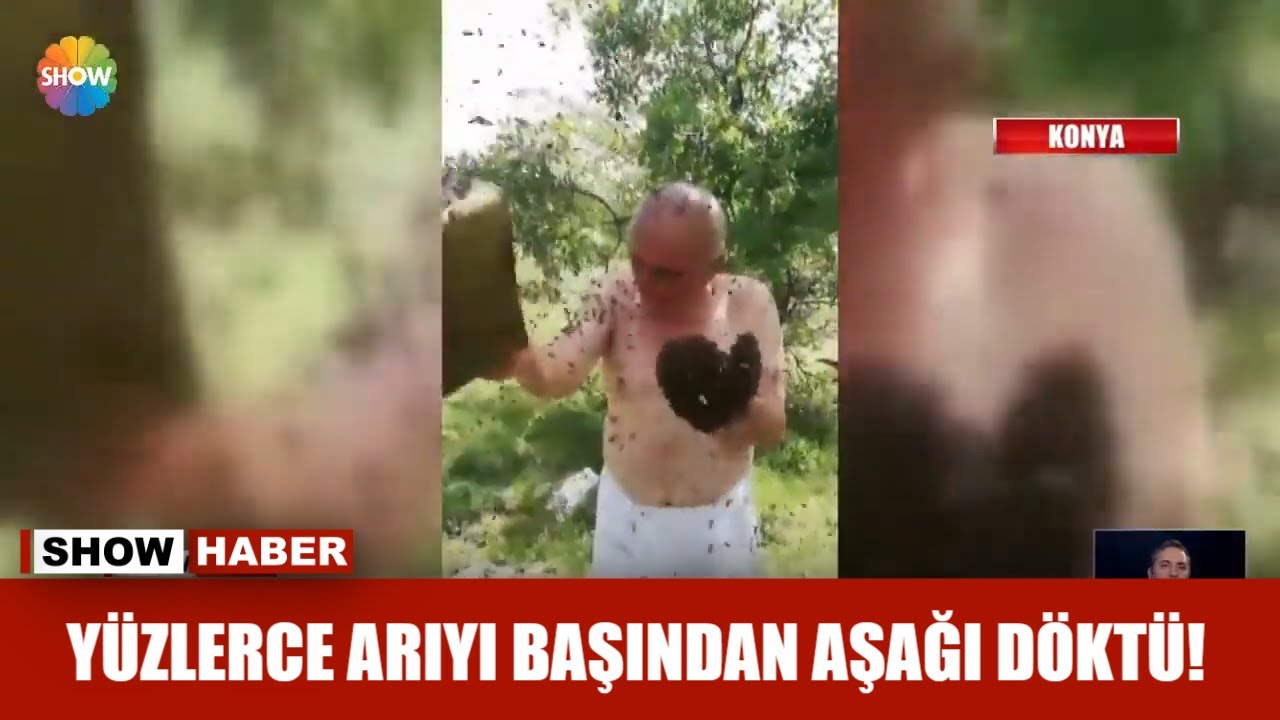 Arıların efendisi Sorkun Köyunden Kadir Gökseki'nin Show haberi