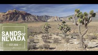 Sands Of Nevada - It All Comes Down To You