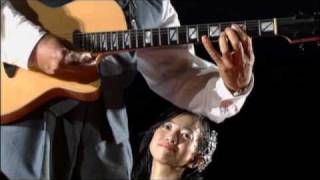 David T. Walker - Performing Solo at Dreams Come True Wonderland 2003