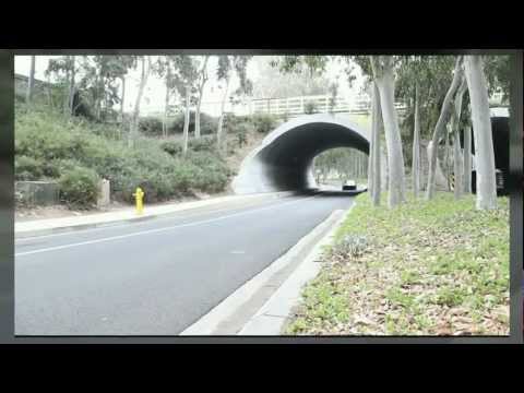GTM Performance Engineering Spec Supercharged Nismo 370Z