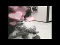 SONARIKA KISSES HER DOG