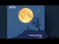 Alexander Bollinger - Se Soir