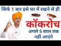 यह 1 बार लगाने से ही कॉकरोच अगले 5 साल तक 