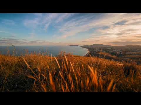 La Cumparsita (Mandrágora Tango Orchestra)