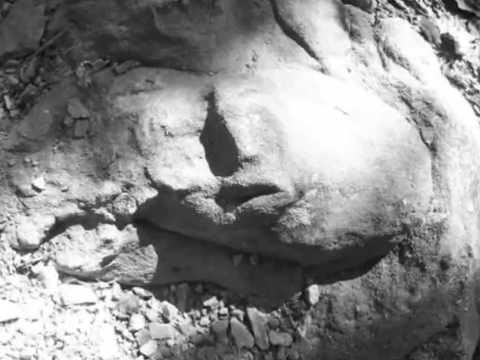 The Visitor Overtone Flute Meditation for seeing in a new way