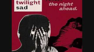 The Twilight Sad - Made to Disappear