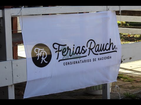 Resumen del remate de Ferias Rauch - Sábado 05 de junio de 2021 - Rauch