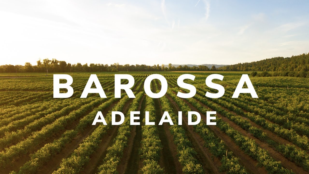 Join travelers as they explore Barossa Valley & participate in wine-making.