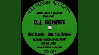 DJ Gumbee - Hard Flavour