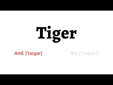 How to Pronounce tiger in American English and British English