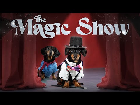 Ep 12: Crusoe Makes Oakley DISAPPEAR! — (Funny Dog Magic Show)