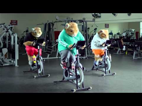 KIA "TOTALLY TRANSFORMED"