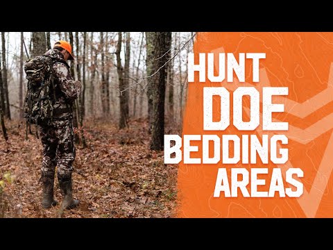 Rut Hunting 101: How to Hunt Doe Bedding Areas