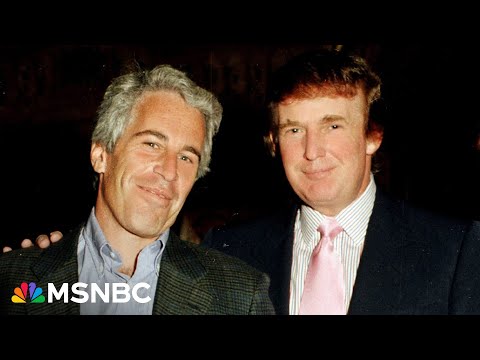 Raskin: Trump PROMISED The Epstein files, they should be released