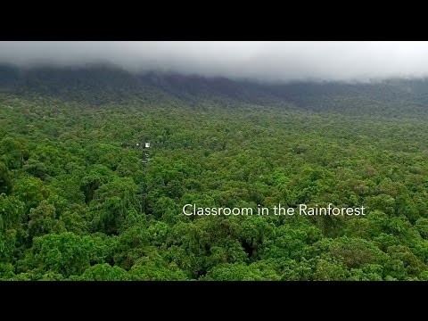 Daintree Rainforest Observatory - Classr