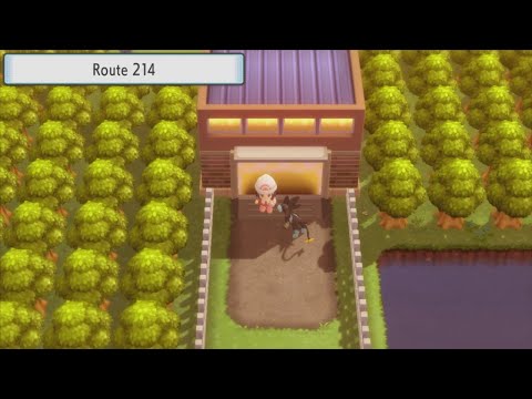 Pokémon Brilliant Diamond - 69 - Route 214 (1/3)