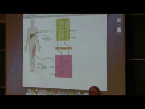 Kevin Ahern's BB 350 (Glycolysis II and Gluconeogenesis) 2014 - #28
