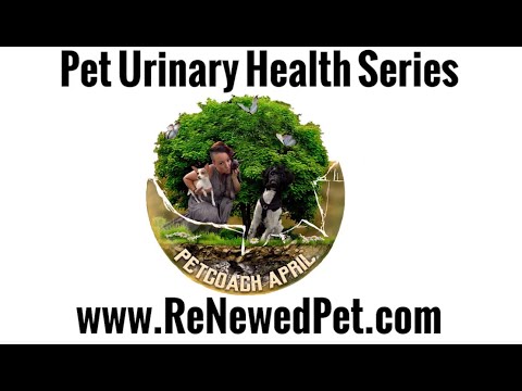Holistic Care for your Pets Urinary Health!
