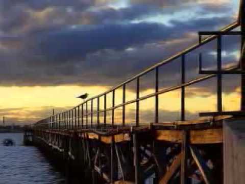 CELESTE RODRIGUES - GAIVOTA PERDIDA