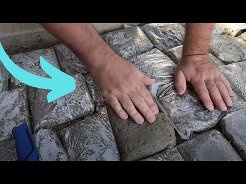 3rd YouTube video about how much weed can fit in a gallon ziploc bag