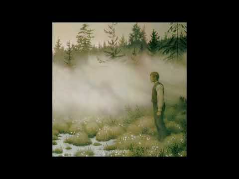 Vindkaldr  -  Ambient I - [Full Album]