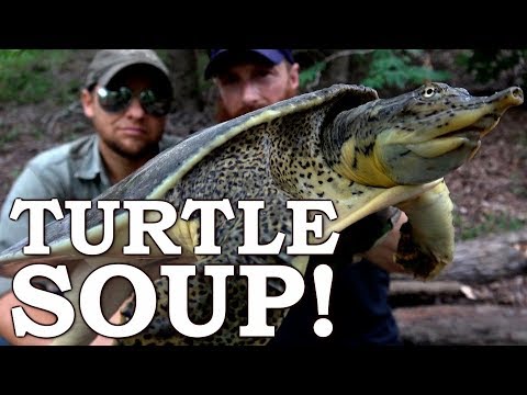 Catch and Cook {Clean} SOFTSHELL TURTLE! Ep07 | 100% WILD Food SURVIVAL Challenge!