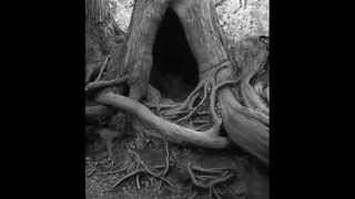 BARATHRUM - Would You Sleep with The Demon ?