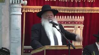 שס מנצחת | קצרים | הרב דניאל זר